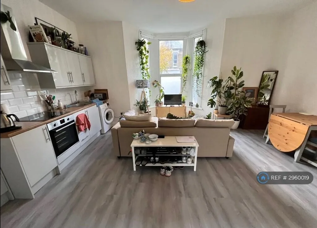1 bedroom flat for rent