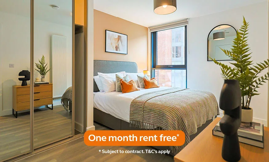 2 bedroom apartment for rent