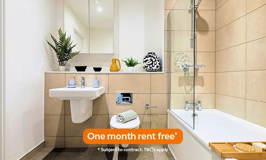 2 bedroom apartment for rent