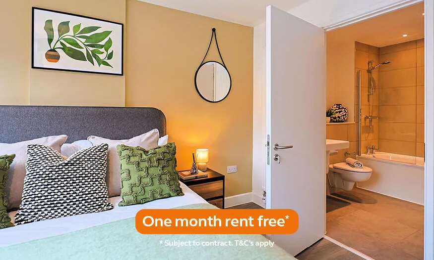 2 bedroom apartment for rent