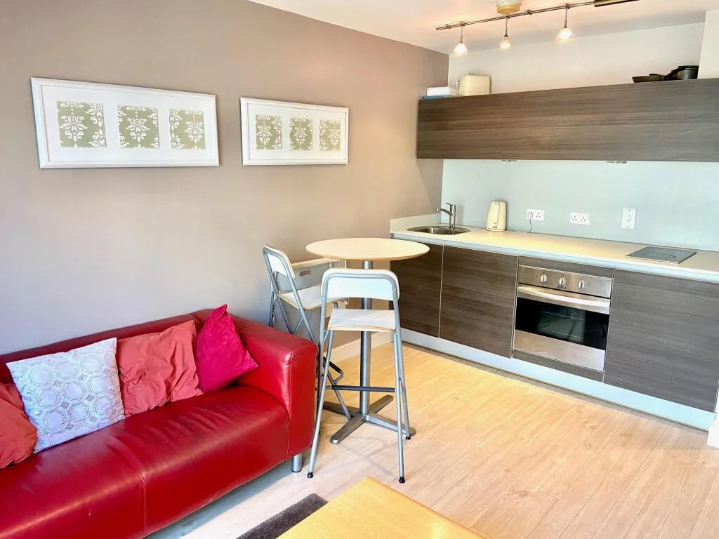 1 bedroom apartment for rent