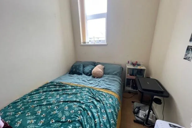 2 bedroom flat for rent