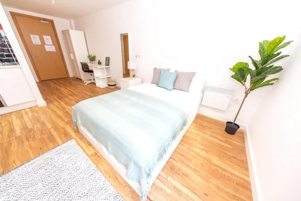 Studio flat for rent