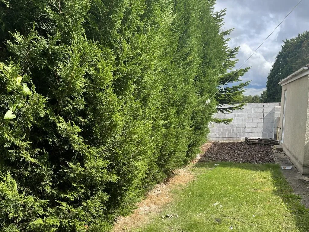 3 bedroom semi-detached house for rent