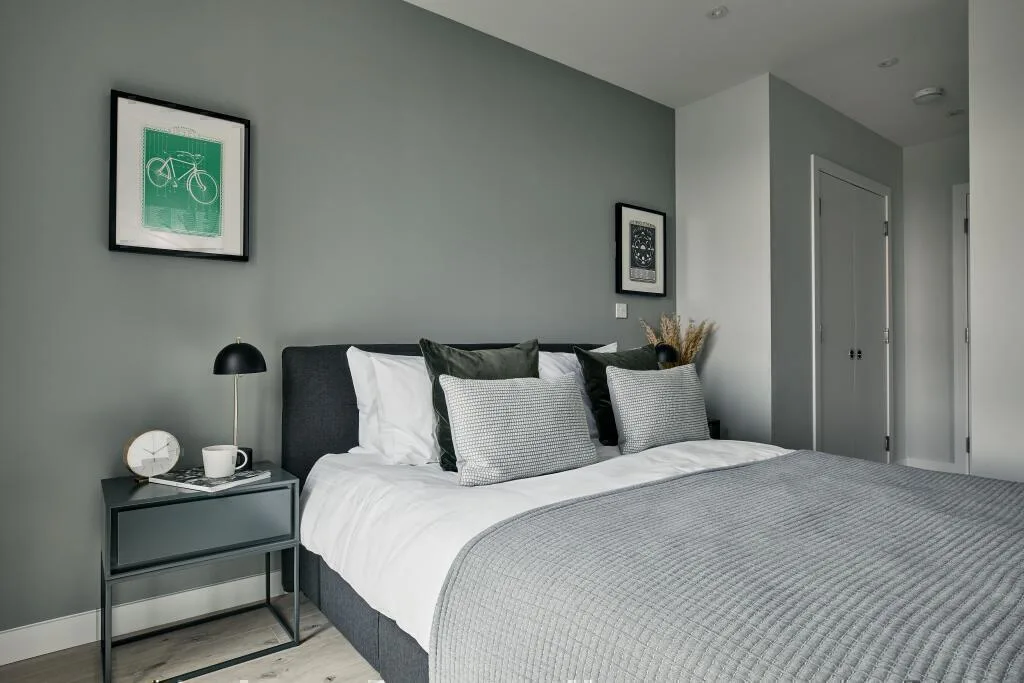 1 bedroom apartment for rent