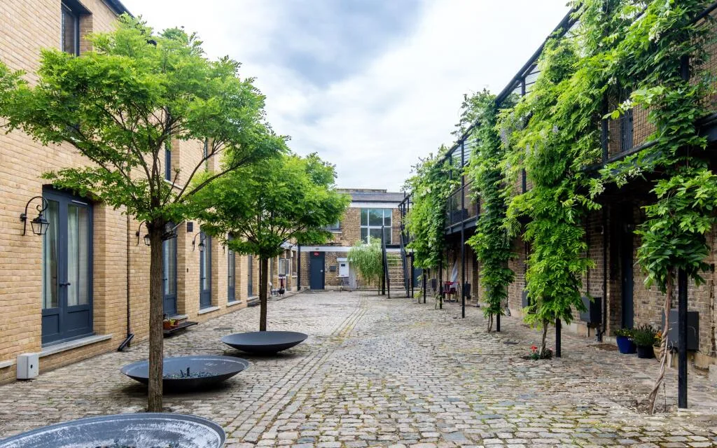 1 bedroom ground floor flat for rent