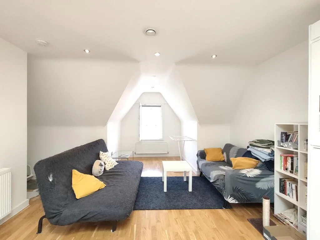 1 bedroom apartment for rent