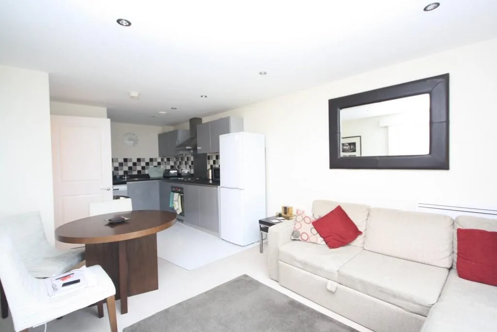 1 bedroom apartment for rent