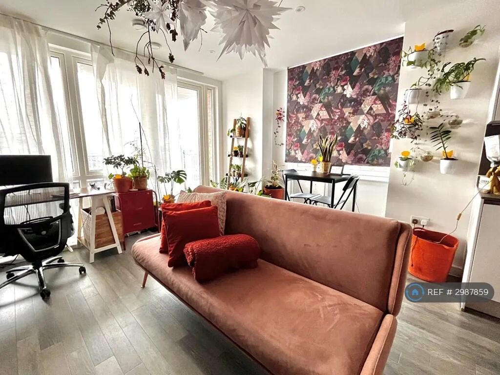 1 bedroom flat for rent