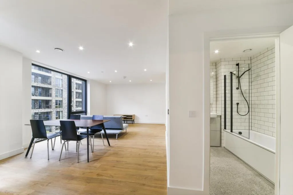 1 bedroom apartment for rent