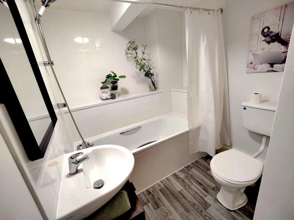 1 bedroom apartment for rent