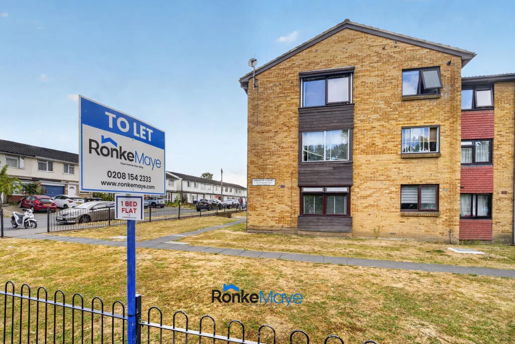 1 bedroom flat for rent