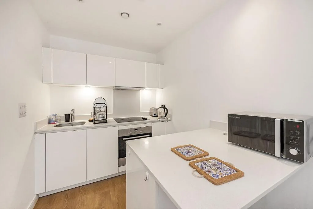 1 bedroom apartment for rent