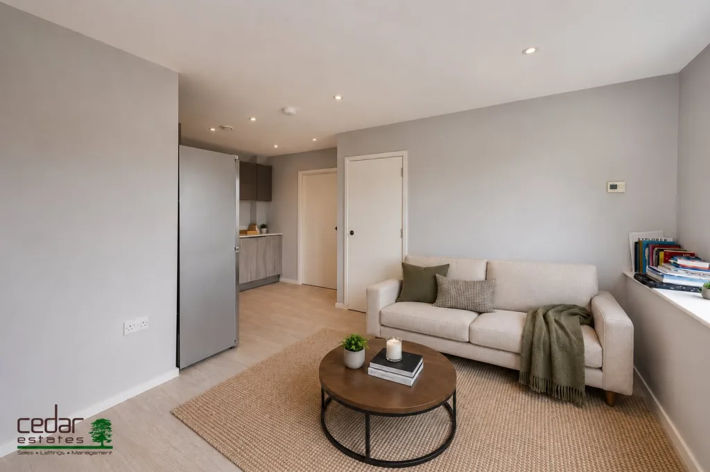 1 bedroom flat for rent