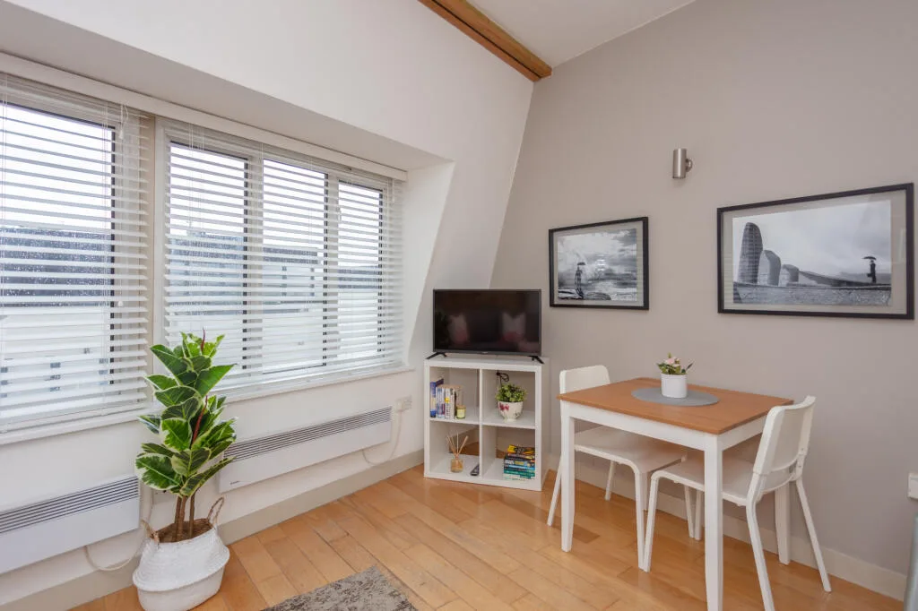 1 bedroom apartment for rent
