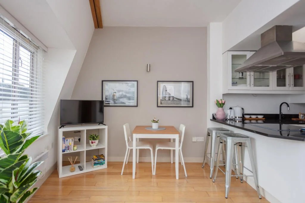 1 bedroom apartment for rent