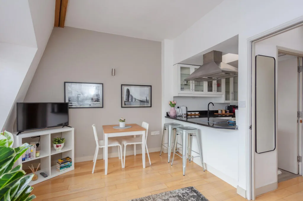 1 bedroom apartment for rent