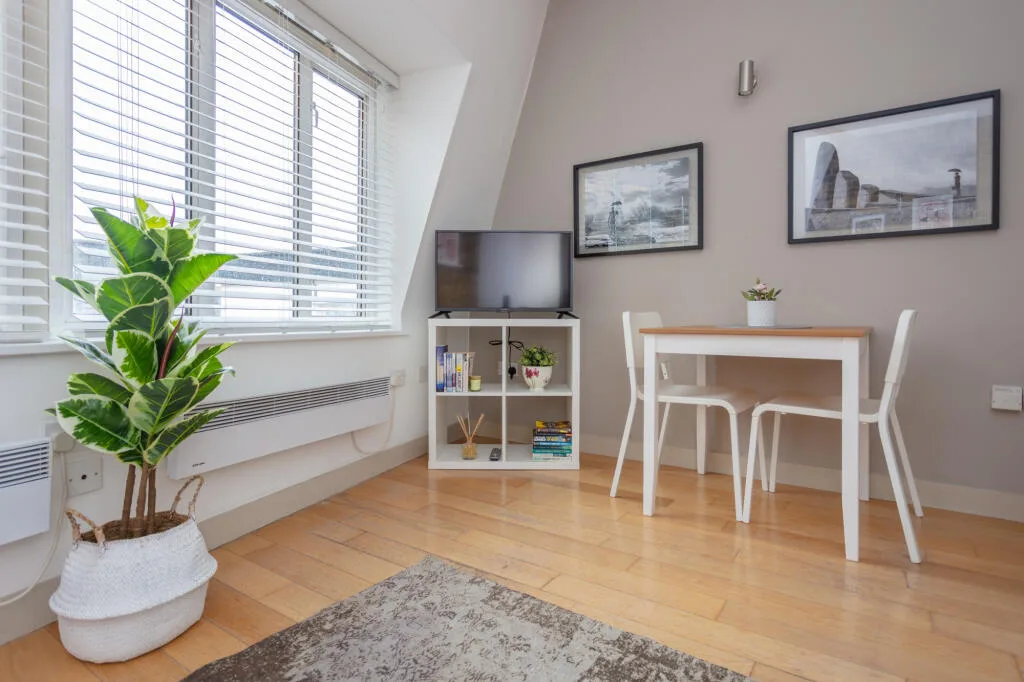 1 bedroom apartment for rent