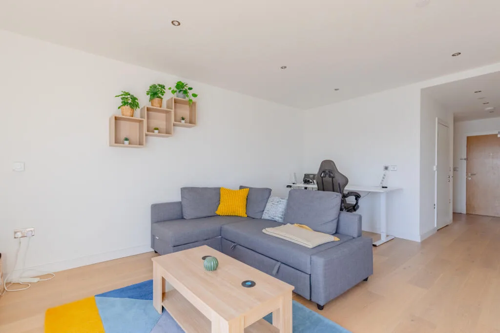 1 bedroom apartment for rent