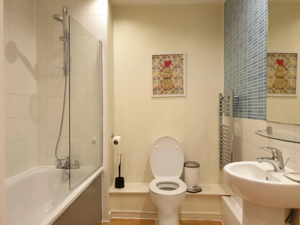 1 bedroom apartment for rent