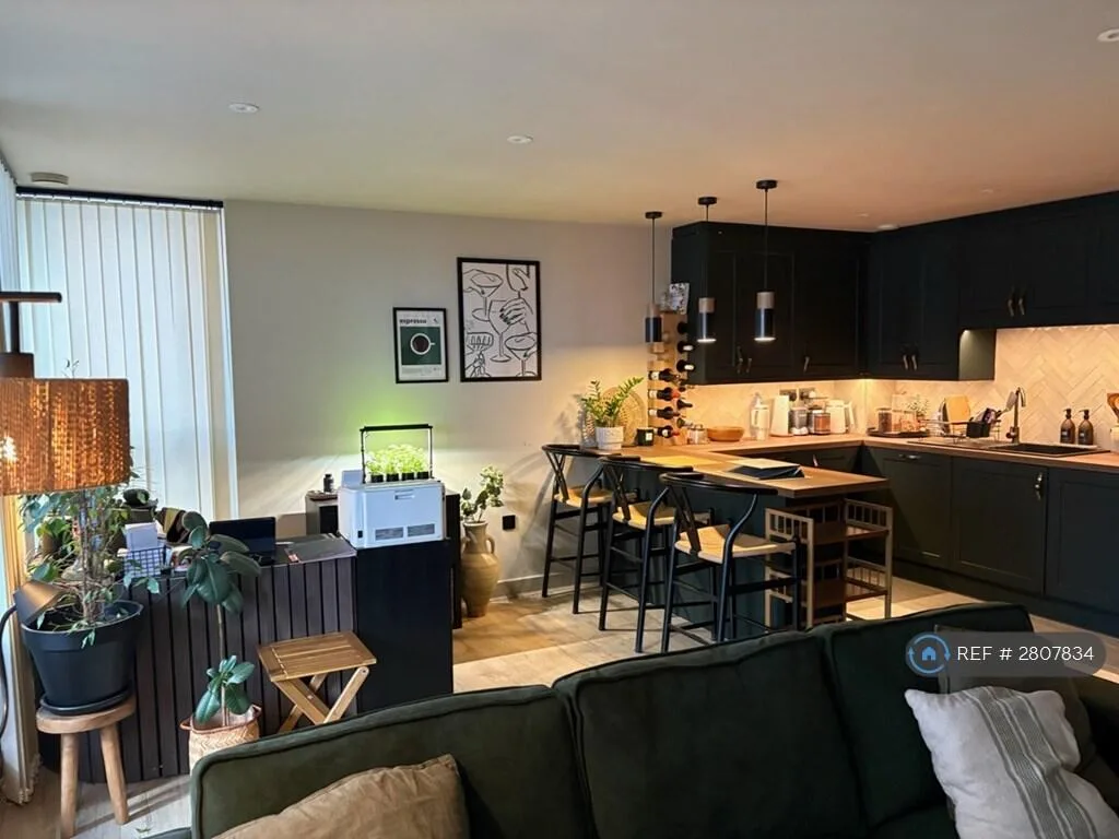 1 bedroom flat for rent