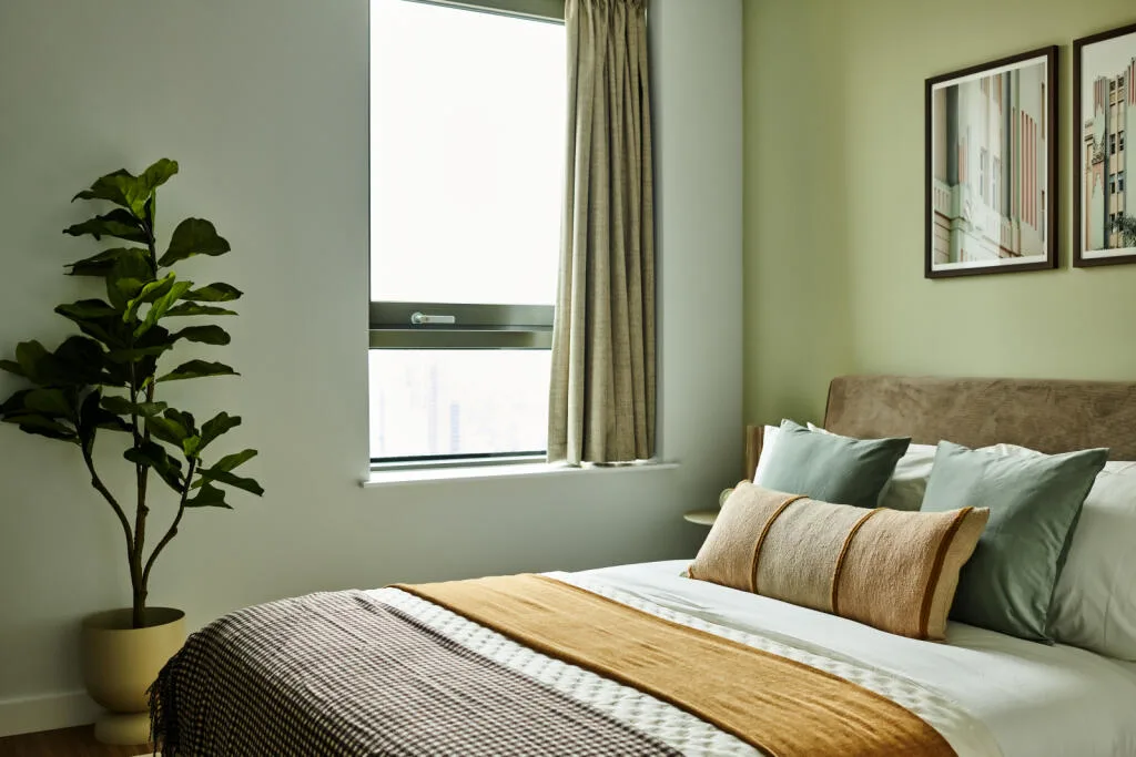 1 bedroom apartment for rent
