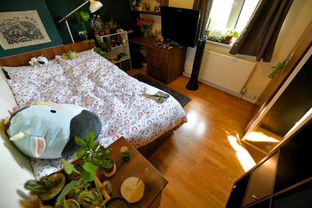4 bedroom house for rent