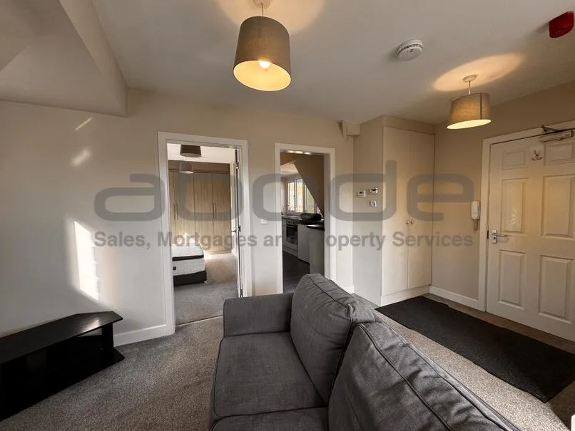 1 bedroom penthouse for rent
