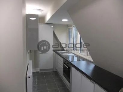 1 bedroom penthouse for rent