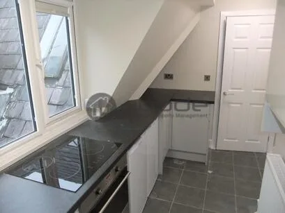 1 bedroom penthouse for rent