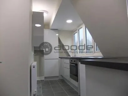 1 bedroom penthouse for rent