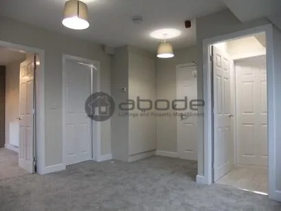 1 bedroom penthouse for rent