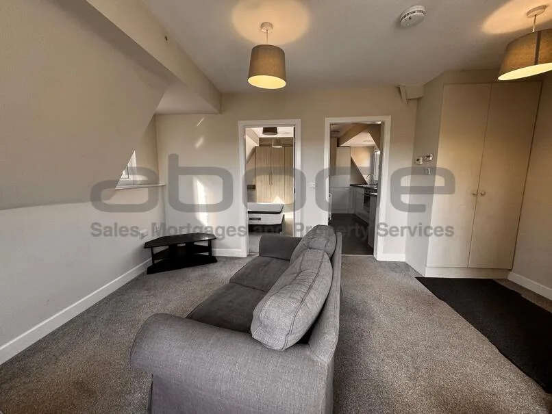 1 bedroom penthouse for rent