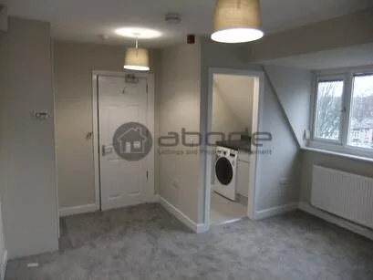 1 bedroom penthouse for rent