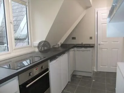 1 bedroom penthouse for rent