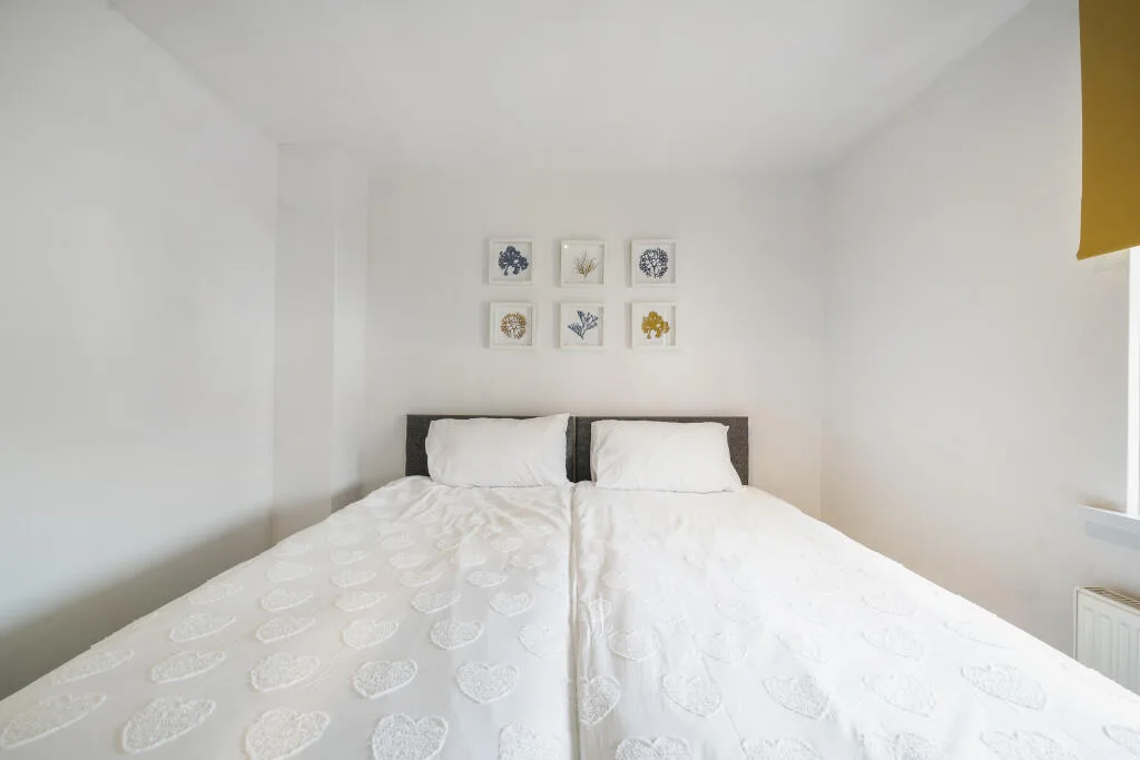 2 bedroom house for rent