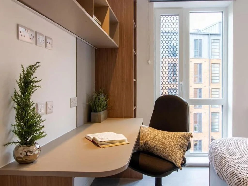 Studio flat for rent