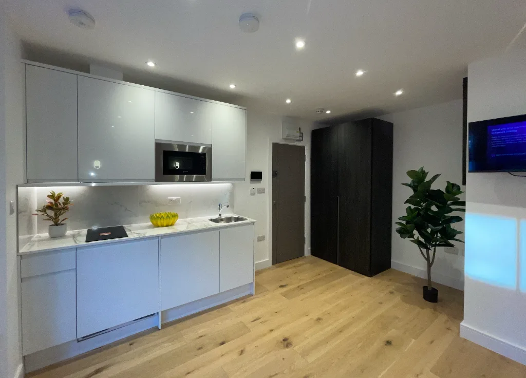 1 bedroom apartment for rent