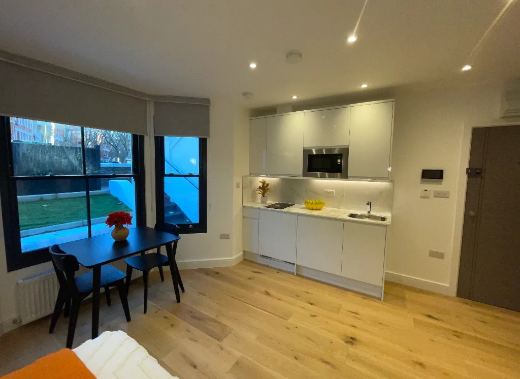 1 bedroom apartment for rent