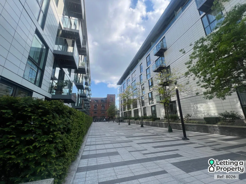 2 bedroom apartment for rent