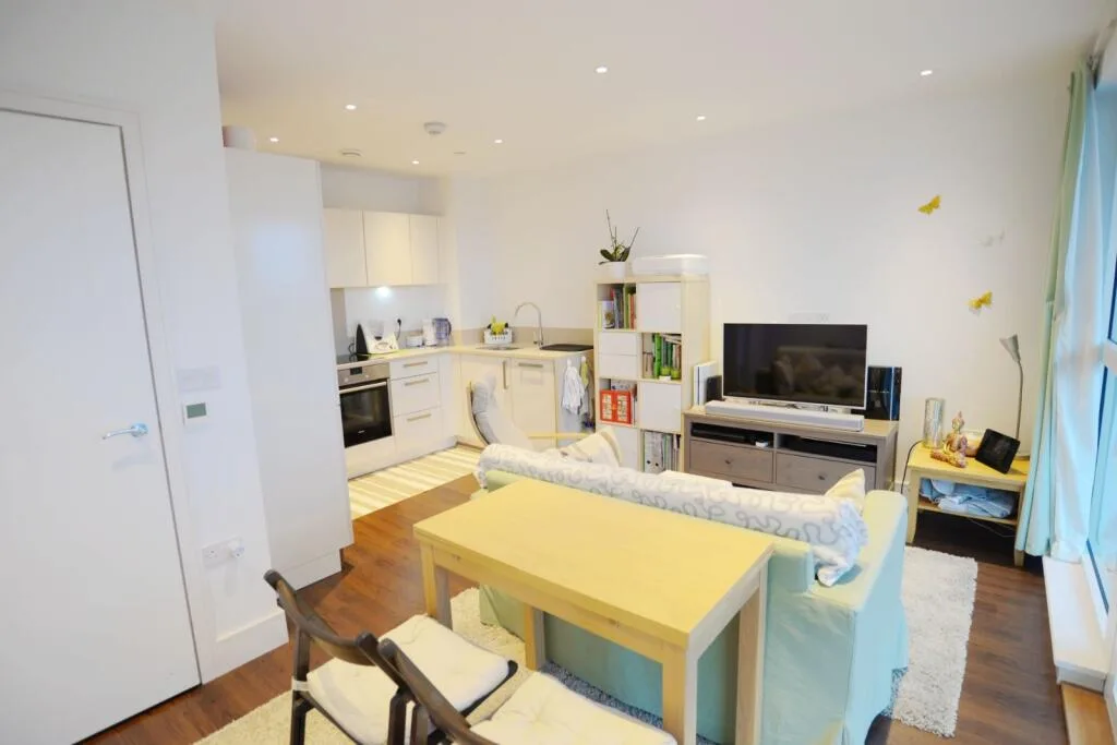 1 bedroom apartment for rent