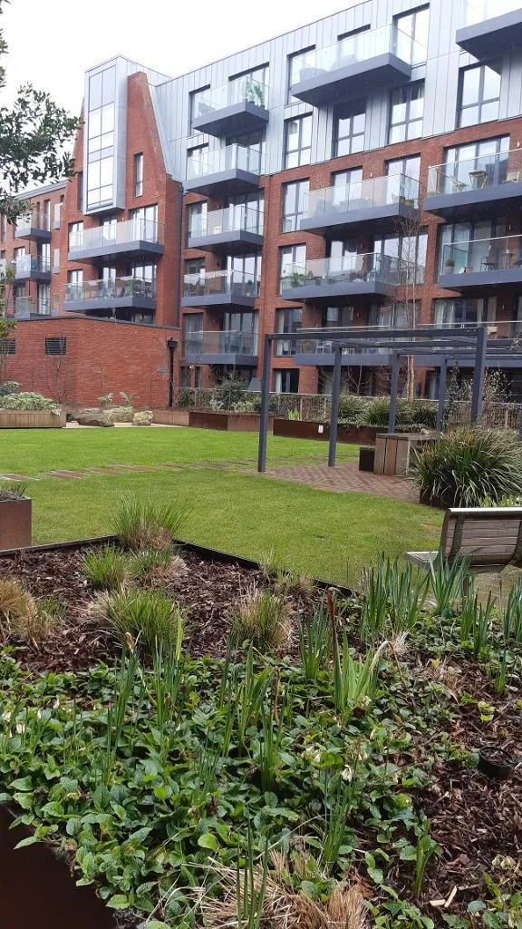 2 bedroom flat for rent