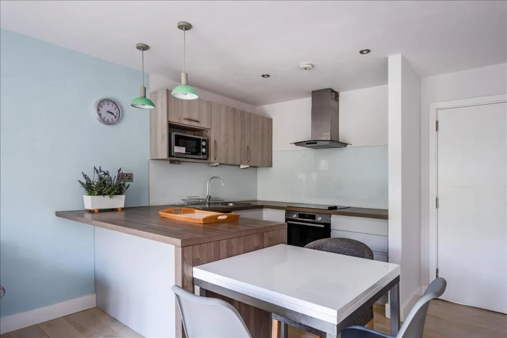 1 bedroom apartment for rent