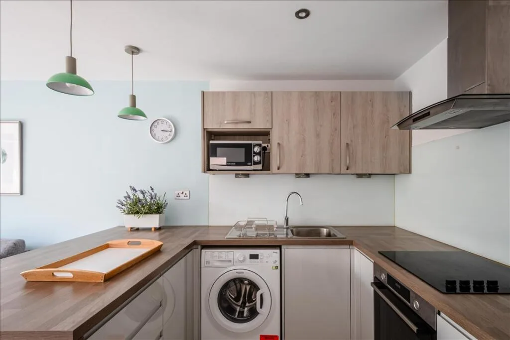 1 bedroom apartment for rent
