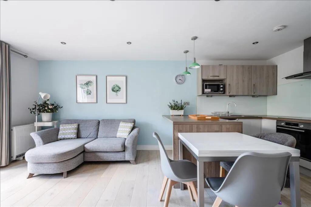 1 bedroom apartment for rent