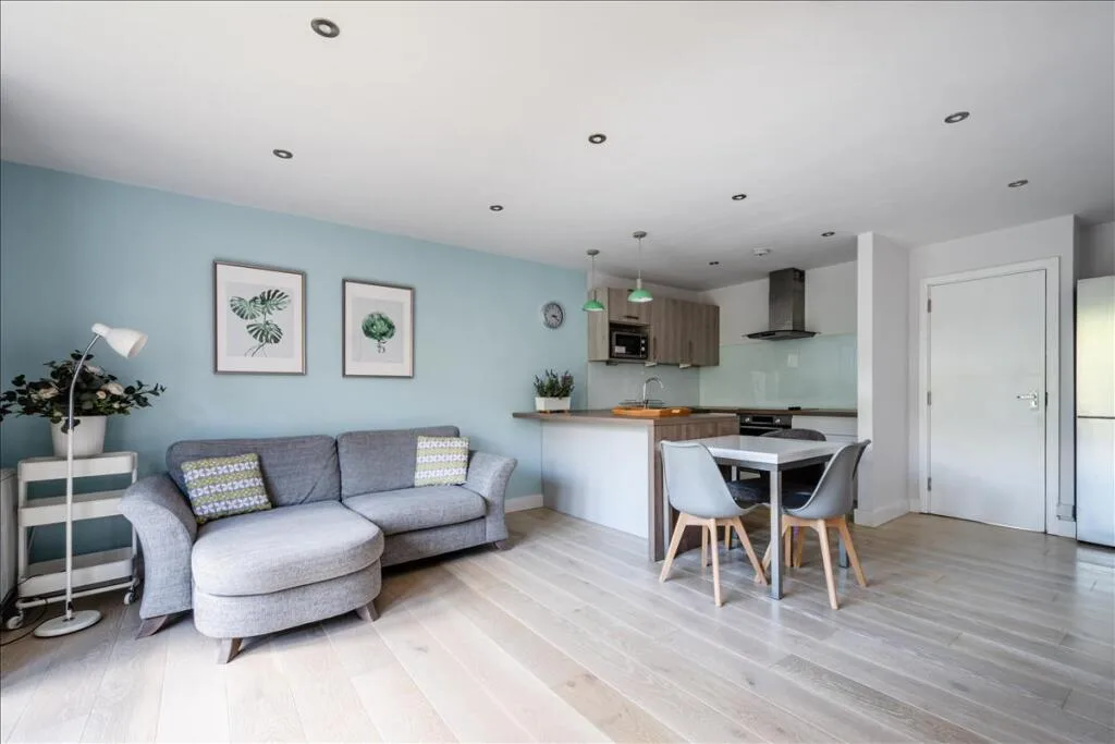 1 bedroom apartment for rent