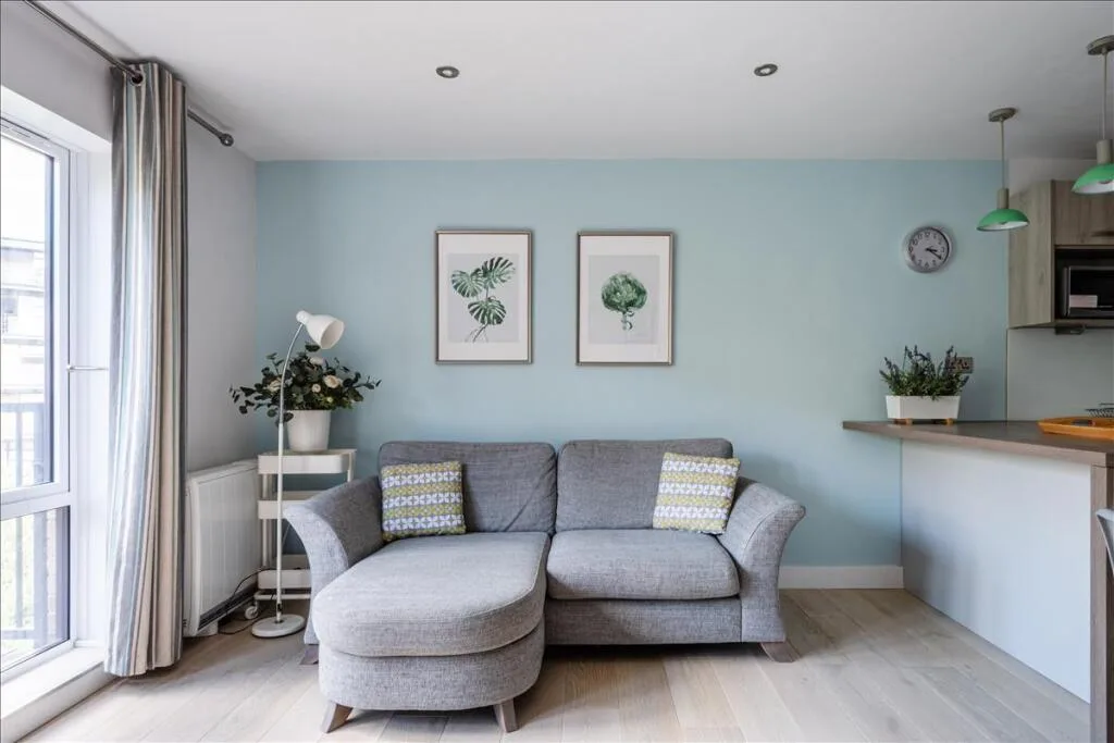 1 bedroom apartment for rent