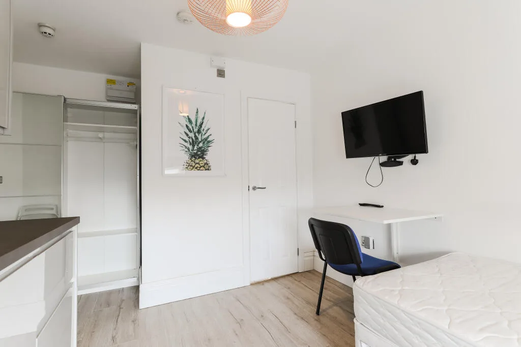 Studio flat for rent