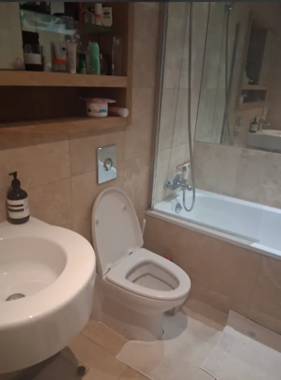 1 bedroom apartment for rent