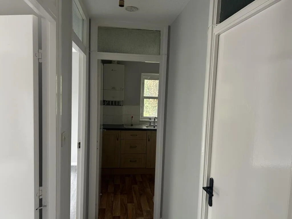 1 bedroom house for rent
